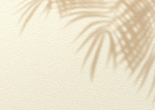 茶色いクリーム粘土泥グランジセメントテクスチャ壁の葉植物の影の背景 平らなヤシの性質 — ストック写真
