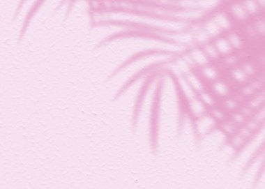 Pembe yumuşak çimento desenli duvar yaprağı gölge arka planı. Minimum konsepti olan yaz tropik seyahat plajı. Düz renk palmiye doğası..