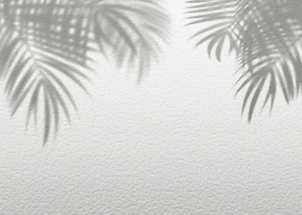 Biały Szary Grunge Cementu Tekstury Ściany Liści Roślin Cień Tła — Zdjęcie stockowe