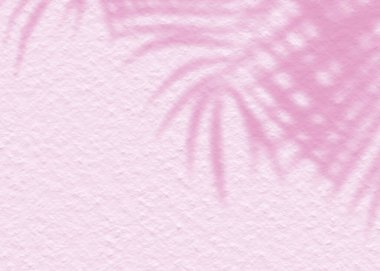 Pembe yumuşak çimento desenli duvar yaprağı gölge arka planı. Minimum konsepti olan yaz tropik seyahat plajı. Düz renk palmiye doğası..
