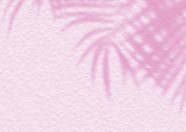 Rosa Textura Macia Cimento Parede Folha Planta Sombra Fundo Verão — Fotografia de Stock