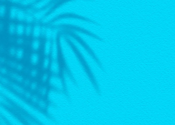 Azul Grunge Textura Cimento Parede Folha Planta Sombra Fundo Verão — Fotografia de Stock