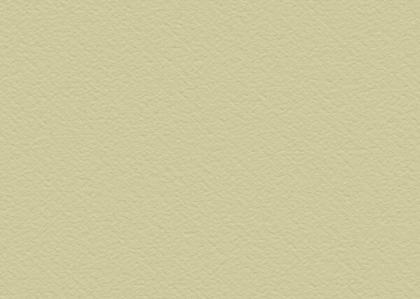 Fern green dark color grunge wall texture background. Neutral colors tend. For design backdrop banner fashion magazine and cosmetic advertising.