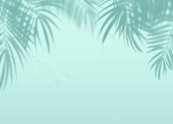 Μέντα Μπλε Τσιμεντοκονία Υφή Φύλλα Τοίχων Σκιά Φόντο Summer Τροπικό — Φωτογραφία Αρχείου