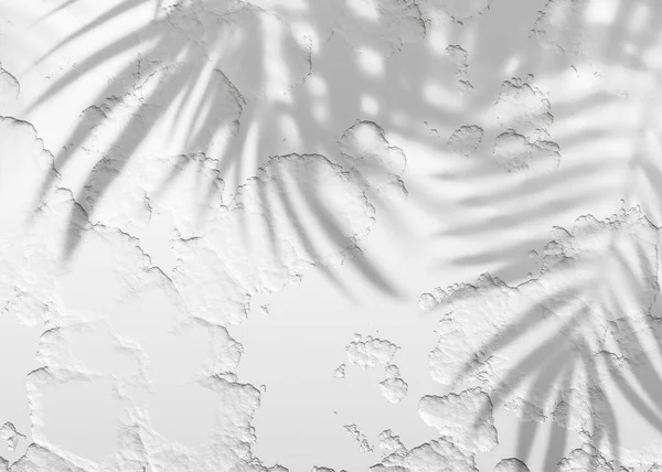 White Gray Grunge Cement Texture Wall Leaf Plant Shadow Background — Stock Photo, Image