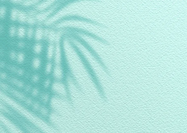 Mint Blue Zement Textur Wandblatt Pflanze Schatten Background Summer Tropischen — Stockfoto