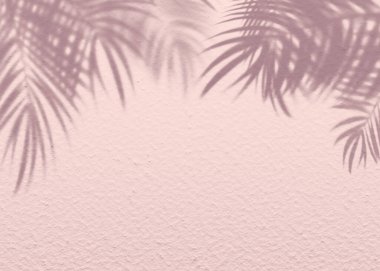 Pembe yumuşak çimento desenli duvar yaprağı gölge arka planı. Minimum konsepti olan yaz tropik seyahat plajı. Düz renk palmiye doğası. .