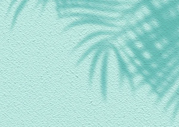 Mint Blue Textura Cimento Parede Folha Planta Sombra Fundo Verão — Fotografia de Stock