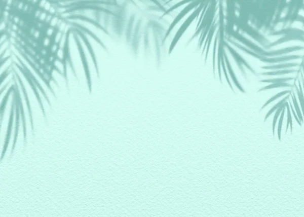 Mint Blue Цемента Текстуры Стены Лист Растения Тени Background Summer — стоковое фото