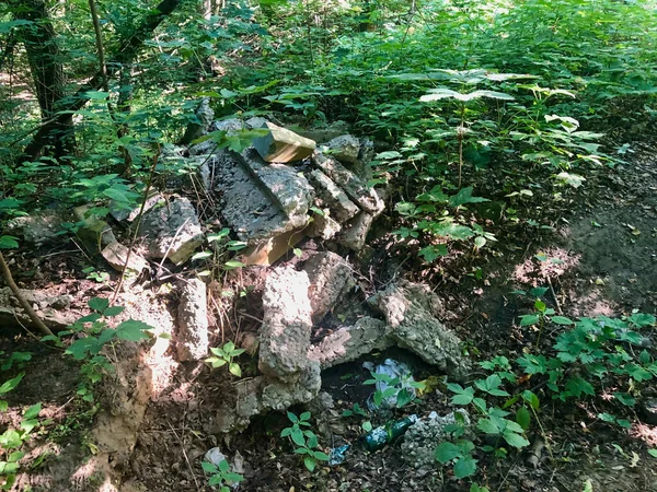 Solen Passerar Genom Trädgrenarna — Stockfoto