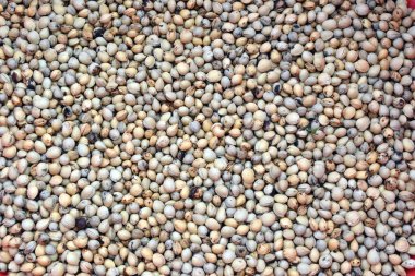 Kurutulmuş kiraz tohumları, arka plan.