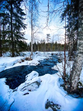 Nehirli kış manzarası