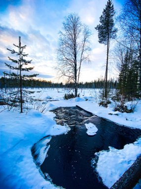 Kışın Karelya ormanlarının ortasındaki hızlı akan nehir