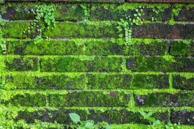 Arkaplan için Tuğla Duvar