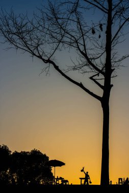 Shiluate insanlar ve gündoğumu zaman ağaç.