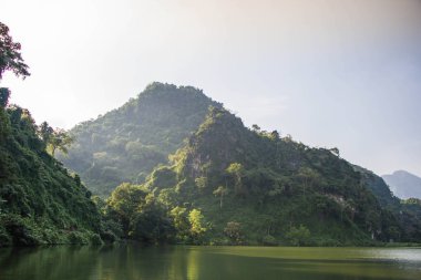 Havzanın Kuzey Tayland at.