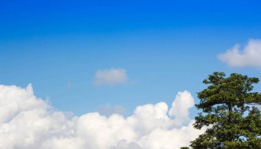 Mavi gökyüzü ve bulutlar zemin üzerine yeşil ağaçlar