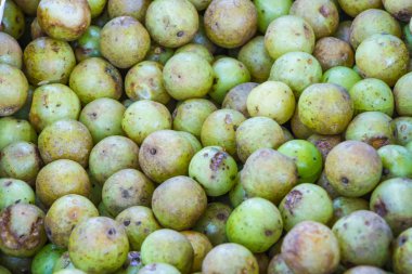 Hint Bektaşi üzümü (Phyllanthus emblica)