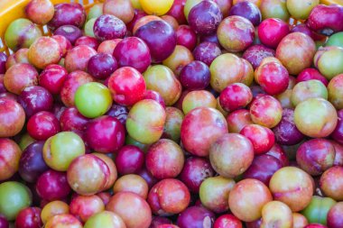 pazarda taze erik yakın