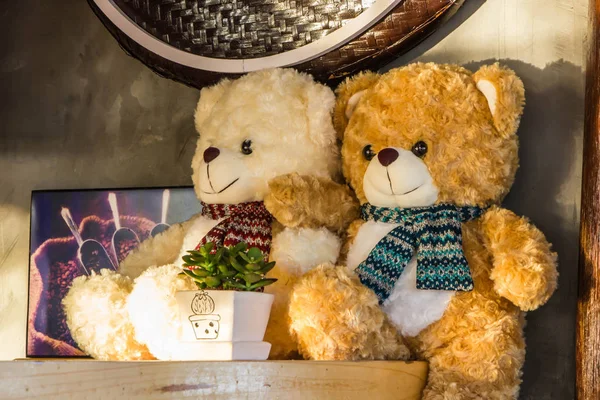 Bear Doll på Country Home. — Stockfoto