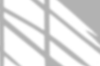 Elegant window shadow crossing over a bright white backdrop with soft gradients.