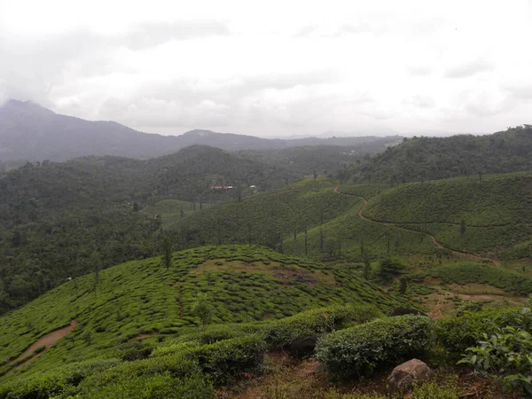 Cloudy Landscape View Tea Plantation Mountains — Stock Photo, Image