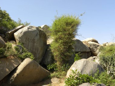 Tepelerde kocaman granit kayalar