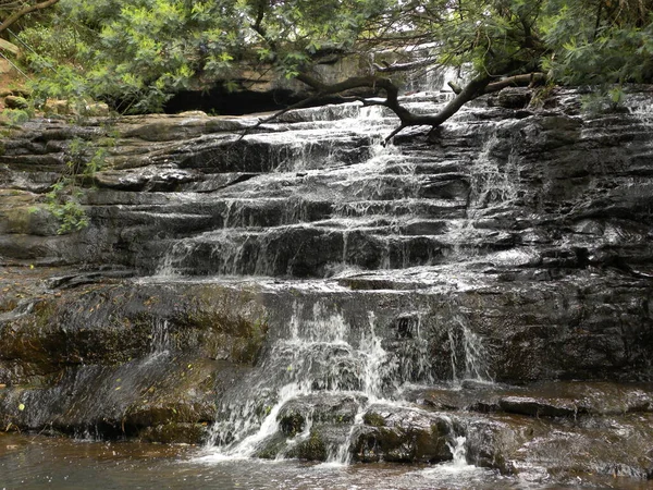 Cascade Dans Forêt — Photo