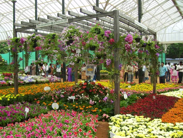 Lalbagh Botanik Bahçesindeki çiçek fuarında renkli çiçekler 