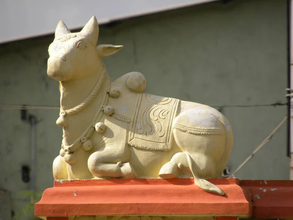 Patung Berwarna Kuning Nandi Bull Kuil Sri Gavi Gangadhareshwara Gavipuram — Stok Foto