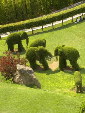 Ramoji Film Şehri 'ndeki Topiary Garden' da ağaçlar, çalılar ve çalılarla yapılan yeşil filler. 