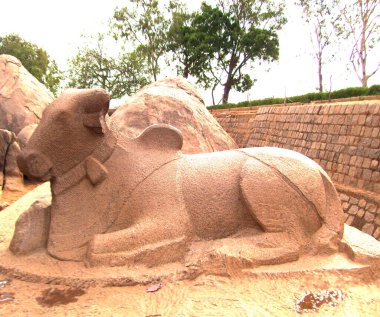 Pancha Rathas 'taki Arjunas Ratha Anıtı' nda Nandi Boğa 'nın kahverengi taş heykeli.
