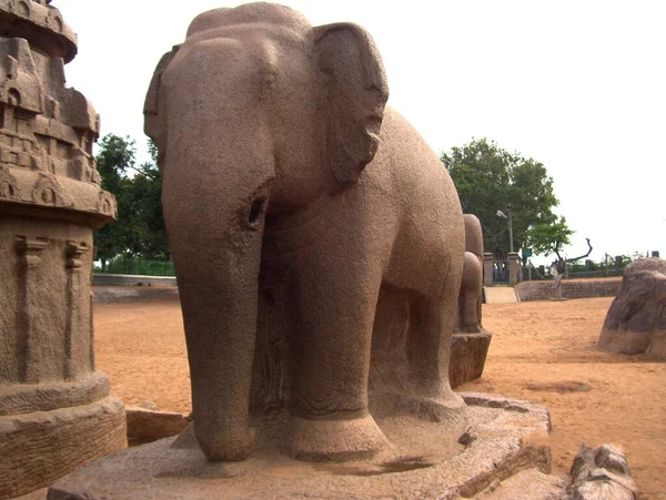 Ancienne Statue Pierre Couleur Marron Éléphant Monument Arjunas Ratha Pancha — Photo