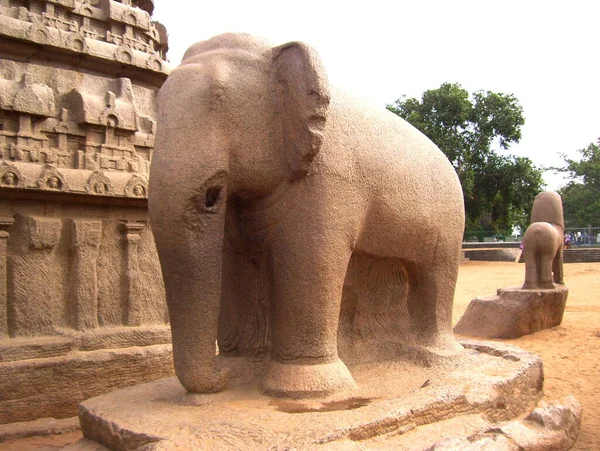 Antigua Estatua Piedra Color Marrón Elefante Monumento Arjunas Ratha Pancha —  Fotos de Stock