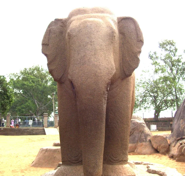 パンチャ ラタスのアルジュナス ラタ記念碑にある象の古代の茶色の石の像 — ストック写真