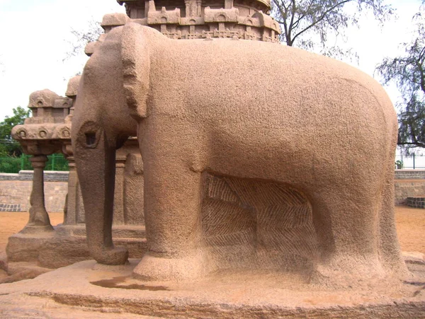 Gammel Brun Farve Sten Statue Elefant Arjunas Ratha Monument Pancha - Stock-foto