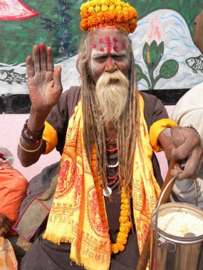 Hindu kutsal Sadhu Sanyasi kutsaması