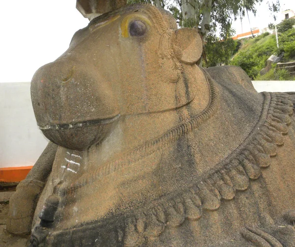 Huge Brown Color Nandi Bull Stone Statue Temple Shivagange — Stock Photo, Image