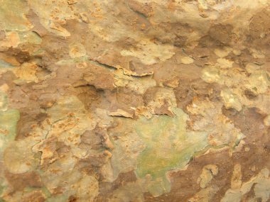 Kahverengi ve sarı ağaç kabuğu desenli arka plan