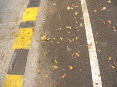 Asfalt yolu, sarı ve beyaz çizgiyle desenli arkaplan