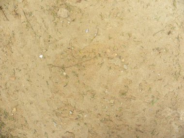 Bej toprak desenli arkaplan