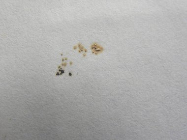 Eski gri renkli kağıt, arka planda lekeler var.