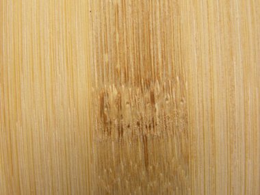 Sarı ve kahverengi Bambu ahşap ahşap kaplama arka plan