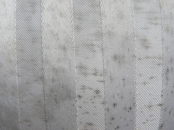 Taches Moule Couleur Noire Sur Tissu Blanc — Photo