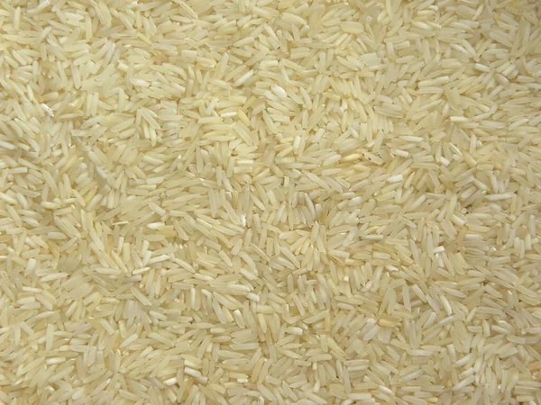Weißer Roher Basmati Reis — Stockfoto