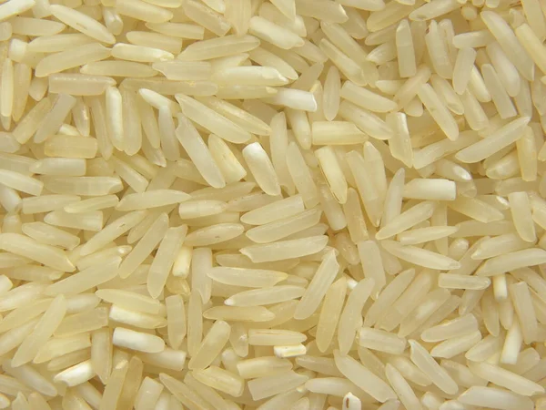 White Raw Basmati Rice — Stock Photo, Image