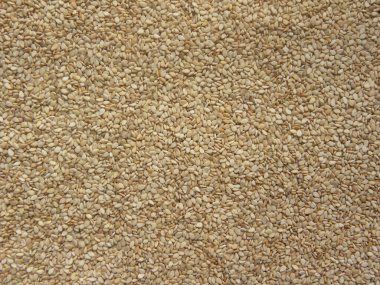 Kahverengi ve beyaz renk kuru susam tohumu