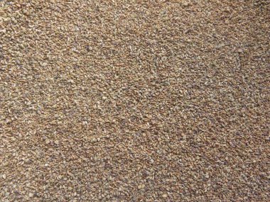 Kahverengi ham Ajwain Karom tohumları