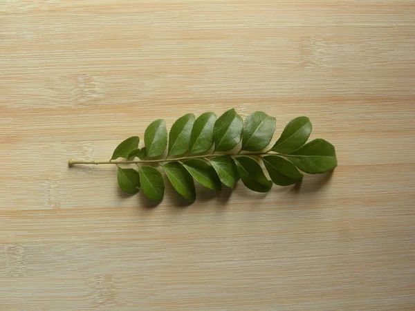 Зеленого Цвета Листья Карри Сладкие Листья Нима — стоковое фото