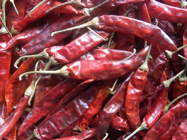 Rote Farbe Getrocknete Chilischoten — Stockfoto